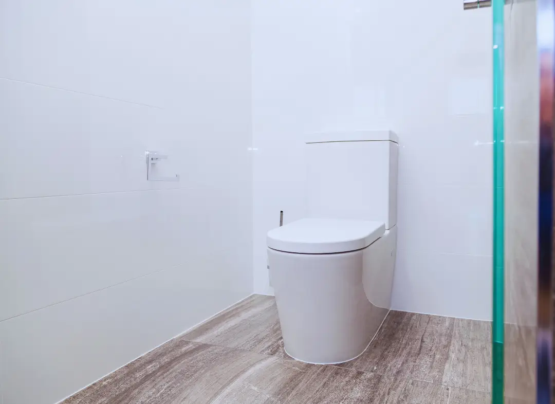 Remplacement de wc Les Hauts-d'Anjou